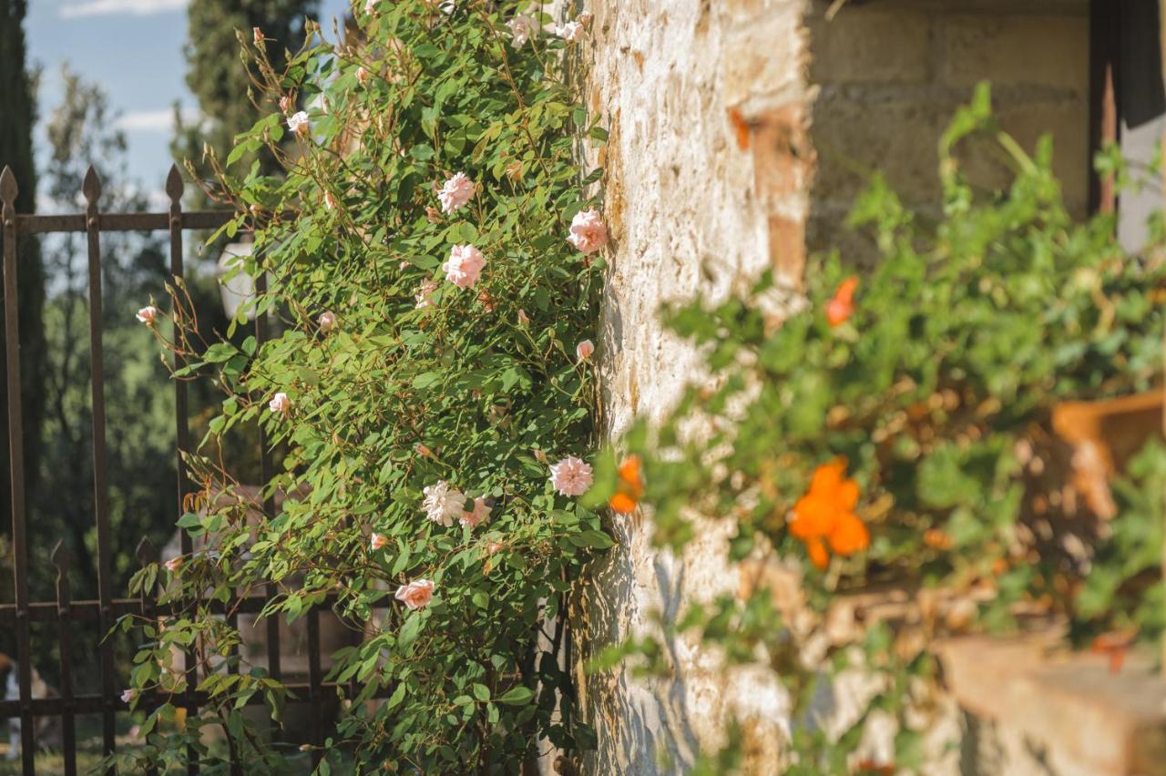 Agriturismo Cretaiole Pienza Kültér fotó