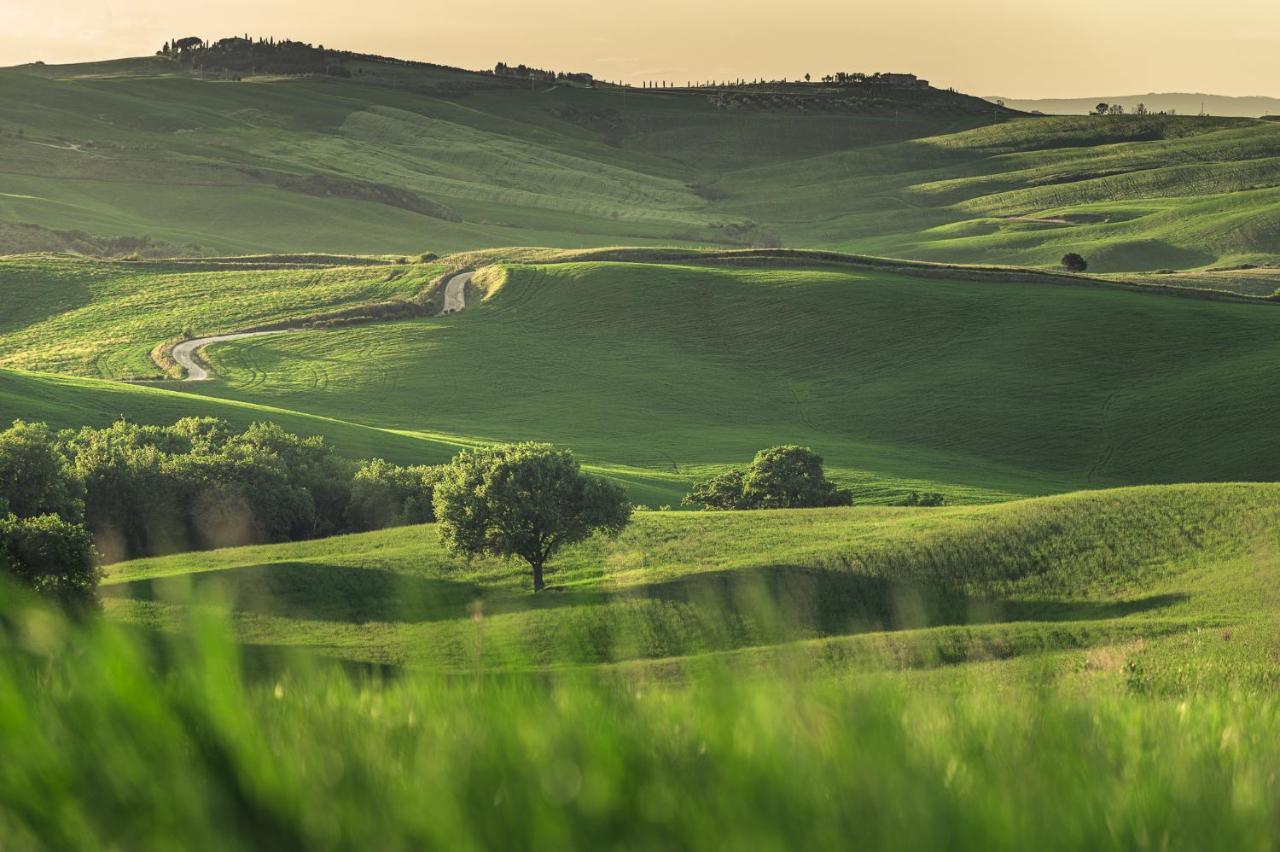 Agriturismo Cretaiole Pienza Kültér fotó