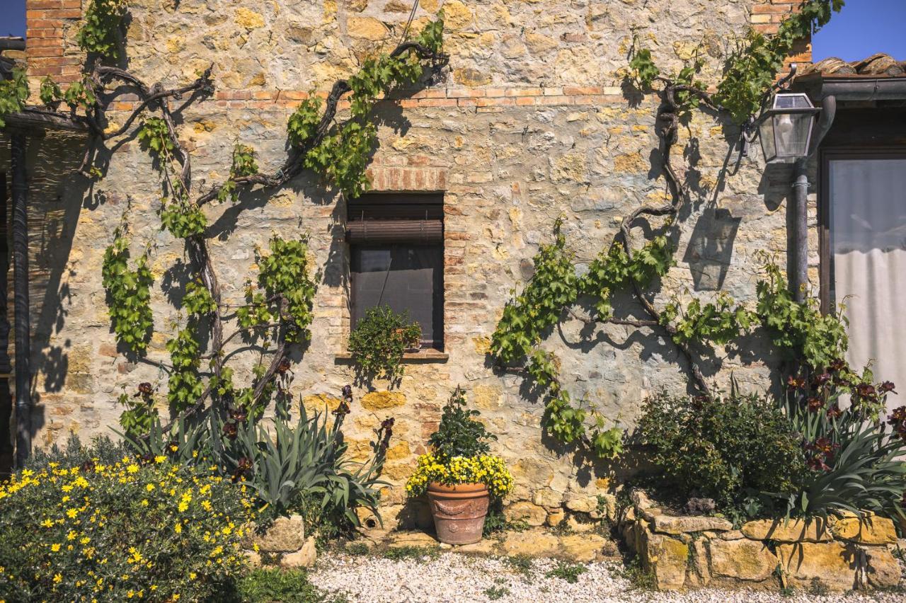 Agriturismo Cretaiole Pienza Kültér fotó