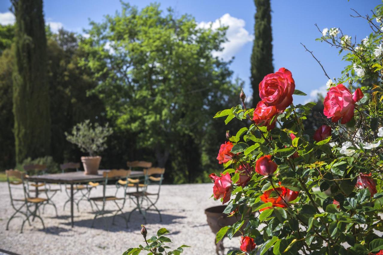 Agriturismo Cretaiole Pienza Kültér fotó
